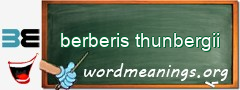 WordMeaning blackboard for berberis thunbergii